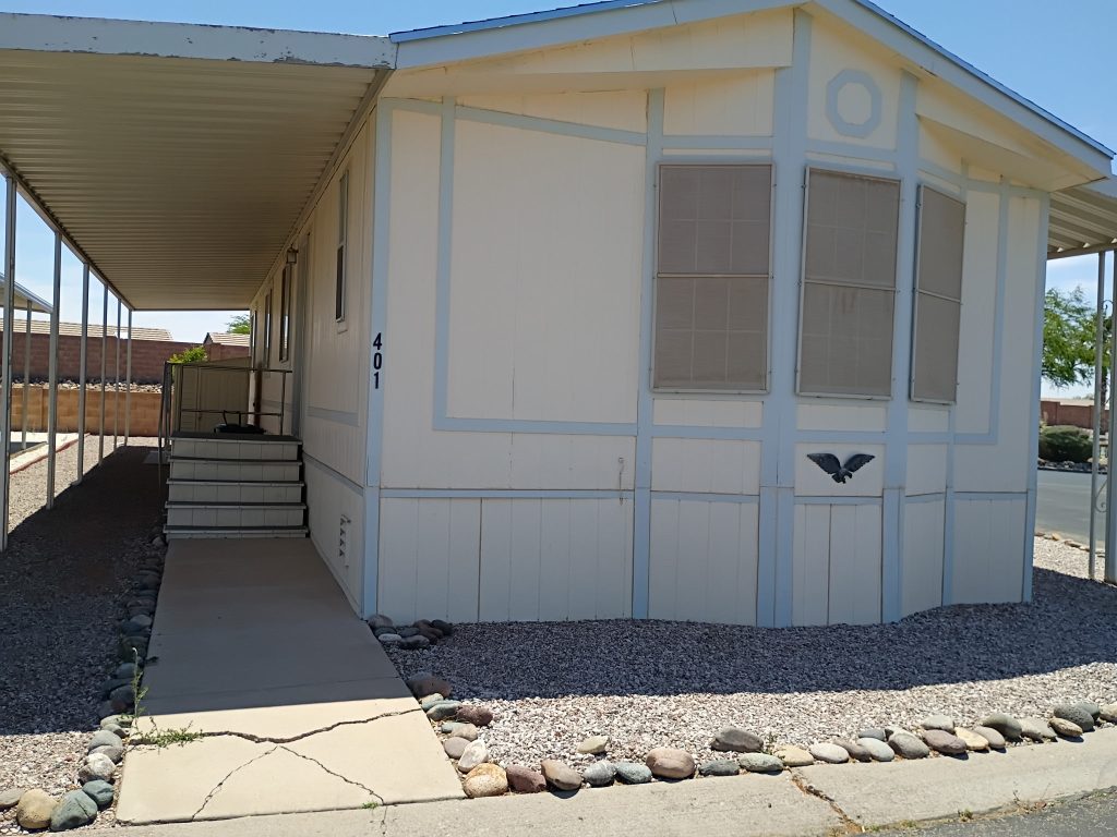 IMG_20250528_135415 (1)