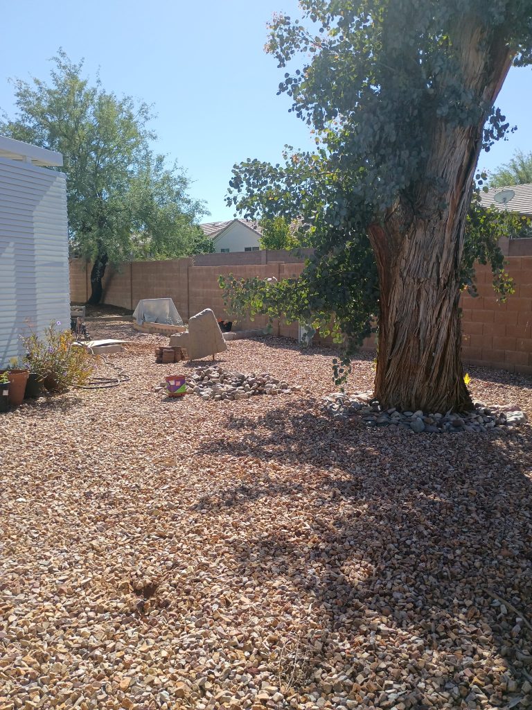 IMG_20251024_124306 (5)