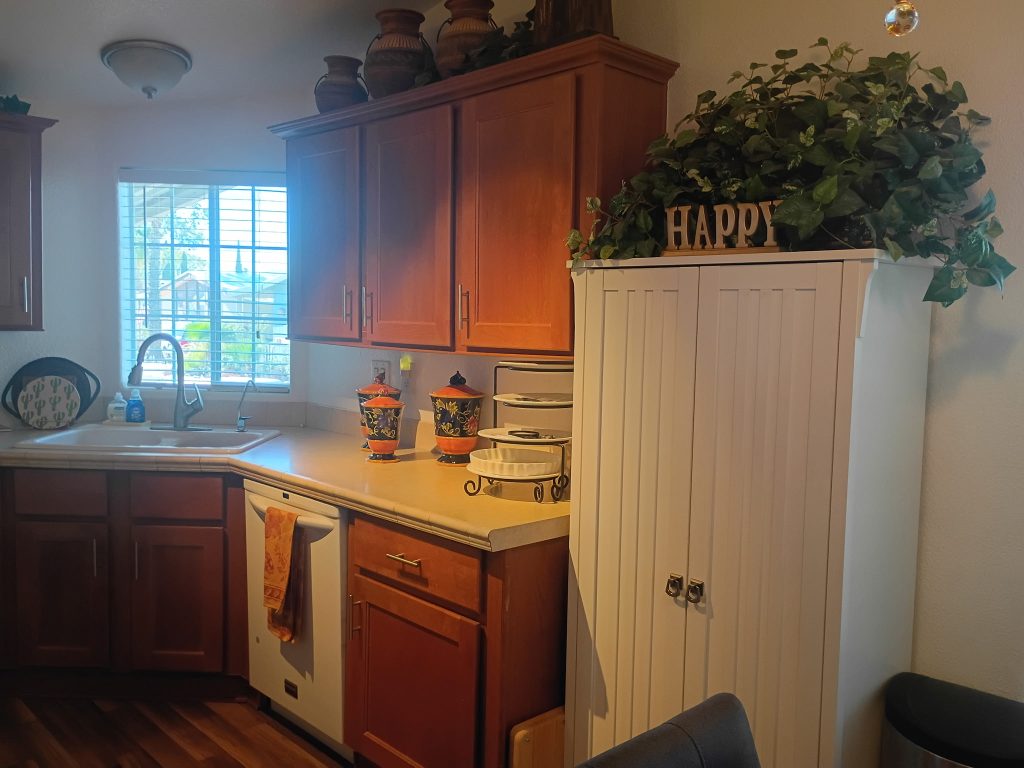 IMG_20260319_104739 (1)