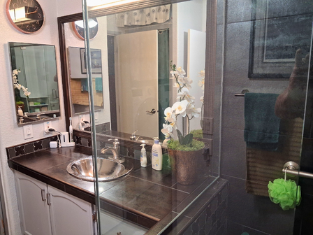 UNIT 551 MASTERBATH1E(5.5 x 3.5 in)
